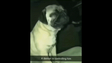 a demon is controlling a dog in a black and white photo