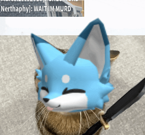 Roblox Meme