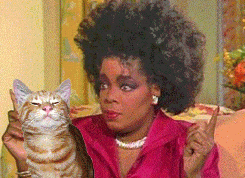 Oprah Winfrey Cat GIF - Oprah Winfrey Cat Kitty GIFs