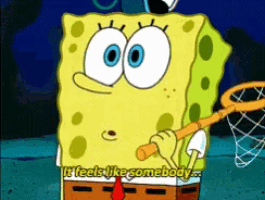 a cartoon of spongebob with the words it feels like somebody
