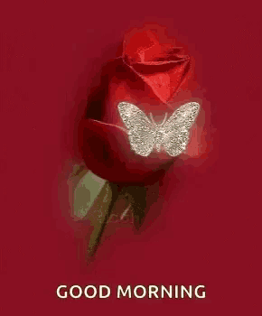 a red rose with a butterfly on it on a red background .