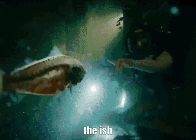 a scuba diver is pointing at a fish with the word the ish written on the bottom