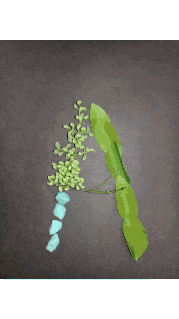 the letter a is made out of green leaves and blue rocks