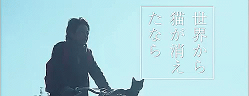 If Cats Disappeared From The World GIF - If Cats Disappeared From The World Takerusato Satotakeru GIFs