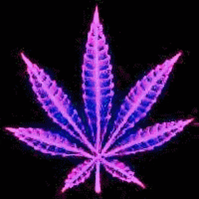 a marijuana leaf is glowing in the dark with a black background
