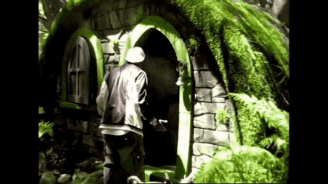 a man is standing in the doorway of a green house with moss on the roof .