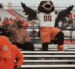 a mascot with the number 00 on it