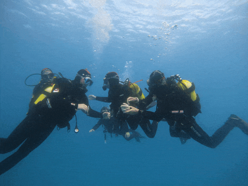 a group of scuba divers are swimming in the ocean and one of them is wearing a black and yellow scubapro wetsuit