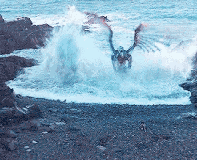 a person is standing on a rocky beach near a body of water