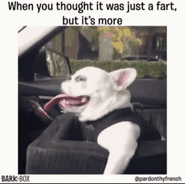 Excited Wink GIF - Excited Wink When You Thougt It Was Just A Fart GIFs