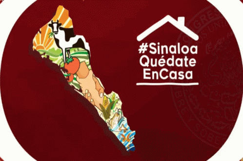 Congreso Sinaloa Quédate En Casa GIF - Congreso Sinaloa Quédate En Casa Sinaloa GIFs