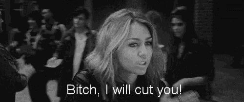 a woman says bitch i will cut you in front of a crowd