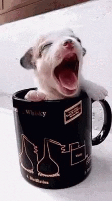 Puppy Day GIF - Puppy Day National GIFs