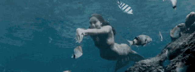 a mermaid is swimming in the ocean near a coral reef with fish .