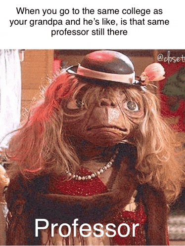 a picture of a monkey wearing a hat and a necklace with the caption " professor still there "