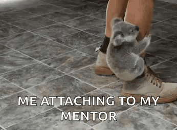Koala Attach GIF - Koala Attach Love GIFs