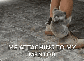 a koala bear is sitting on a person 's leg with the words `` me attaching to my mentor '' .
