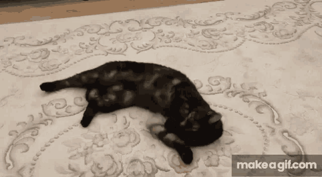 a black cat is laying on its back on a rug with make a gif.com written on the bottom