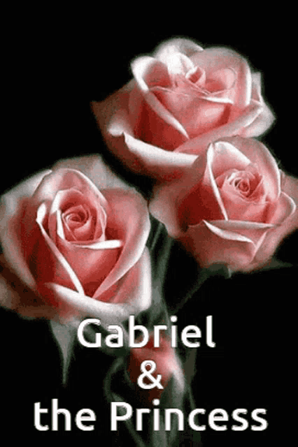 three pink roses on a black background with the name gabriel and the princess written below them