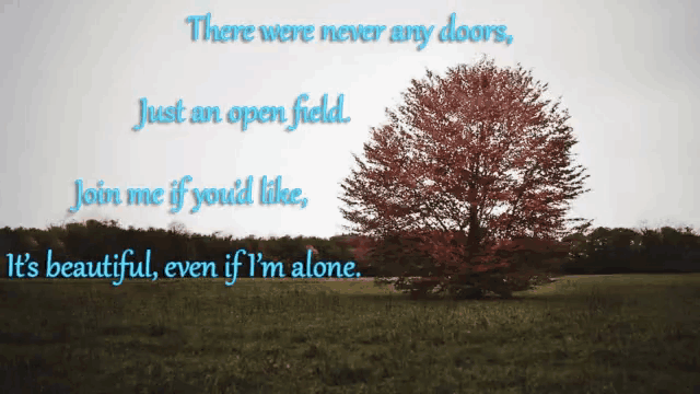 there were never any doors just an open field join me if you d like it 's beautiful even if i m alone