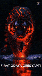 a picture of a lion on fire with the words firat odaya giriş yapti below it