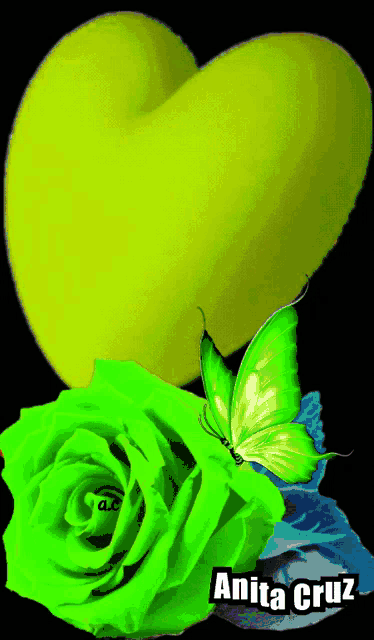 a picture of a green rose and a yellow heart with the name anita cruz on the bottom