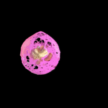 a pink and yellow flower is surrounded by squares of pink