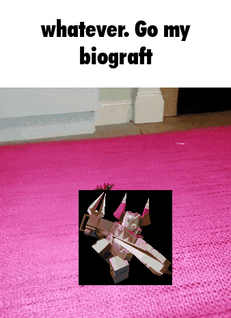a pink rug with a picture of a plane on it and the words " whatever go my biograft "