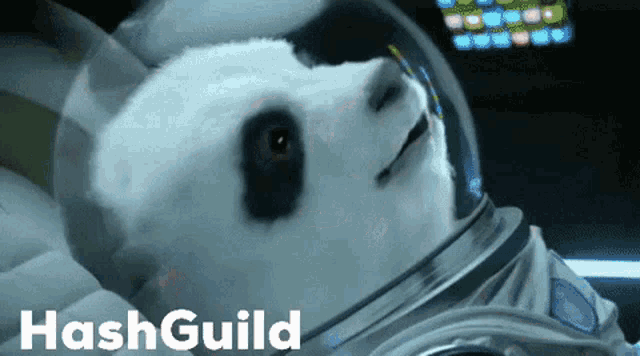 a panda bear wearing a helmet with hashguild written on the bottom right