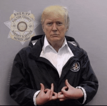 a man in a sheriff 's badge stands in front of a wall