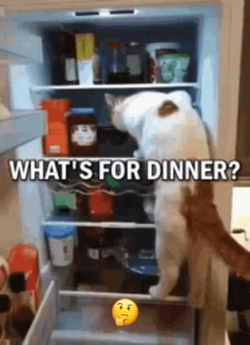 Dinner Time GIF - Dinner Time Whats GIFs