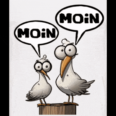 a cartoon of two seagulls talking about moin
