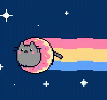 Donuts Kitty GIF - Donuts Kitty Flying GIFs