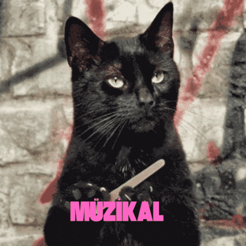 a black cat is holding a nail file in front of a brick wall and the word muzikal is on the bottom