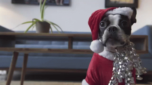 Tha Cutest Lil Christmas Pup GIF - Dog Santa Claus Christmas GIFs