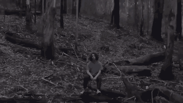 Sitting Woods GIF - Sitting Woods Forest GIFs
