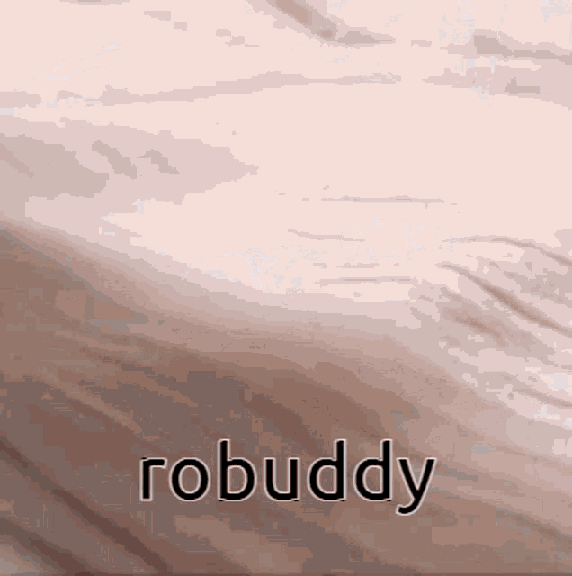 Robuddytbh GIF - Robuddytbh Robuddy GIFs