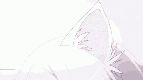a close up of a cat 's ear on a white background