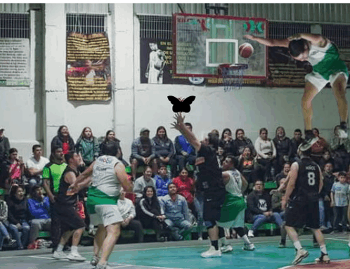 Basquet GIF - Basquet GIFs