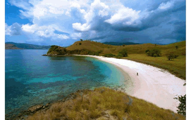 a person walking on a beach with a cloudy sky behind them