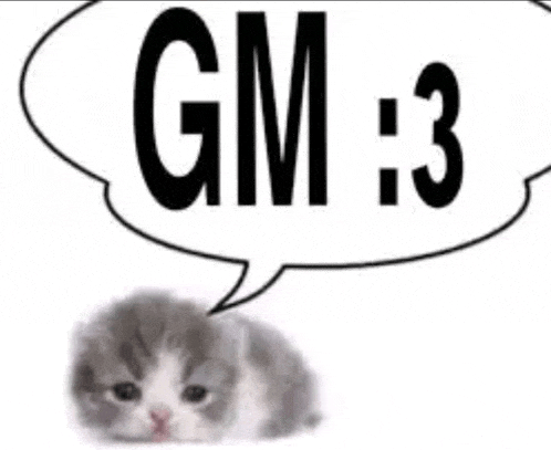 a gray and white kitten with a speech bubble that says `` gm : 3 '' .