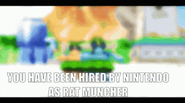 a blurred image with a caption that says you have been hired by nintendo as rat muncher