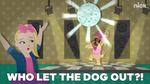 Who Let The Dog Out Disco GIF - Who Let The Dog Out Disco Disco Ball GIFs