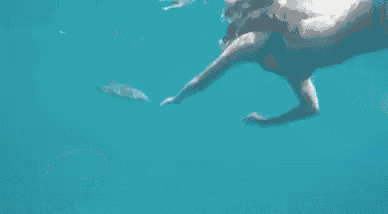 a woman is swimming underwater with a fish in the ocean .