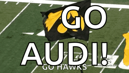 a black and yellow flag with the words go audi go hawks on it