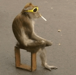 a monkey wearing sunglasses is sitting on a stool smoking a cigarette