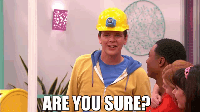 a man wearing a hard hat says " are you sure " in front of a group of people