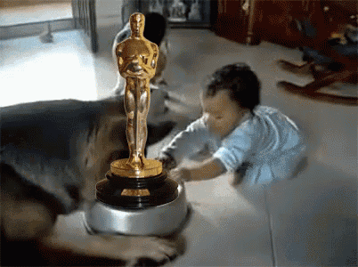 Oscars Fight GIF - Oscars Baby Dog GIFs