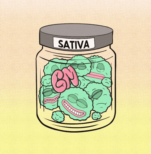 a cartoon drawing of a jar of sativa cannabis