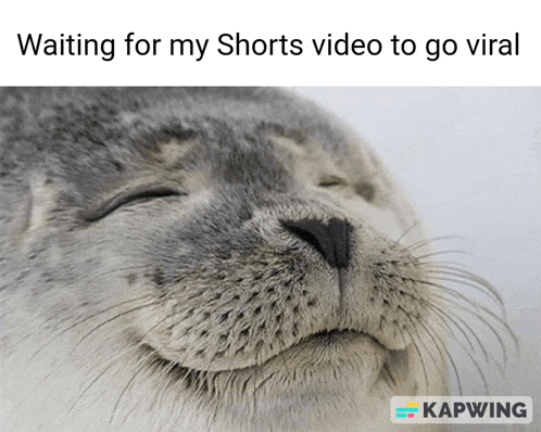 Youtube Funny Meme